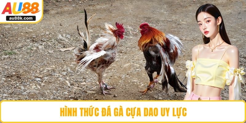 Hình thức đá gà cựa dao uy lực