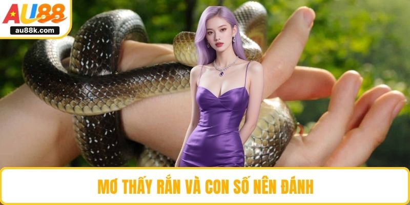 Mơ thấy rắn và con số nên đánh