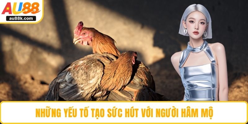 Những yếu tố tạo sức hút với người hâm mộ