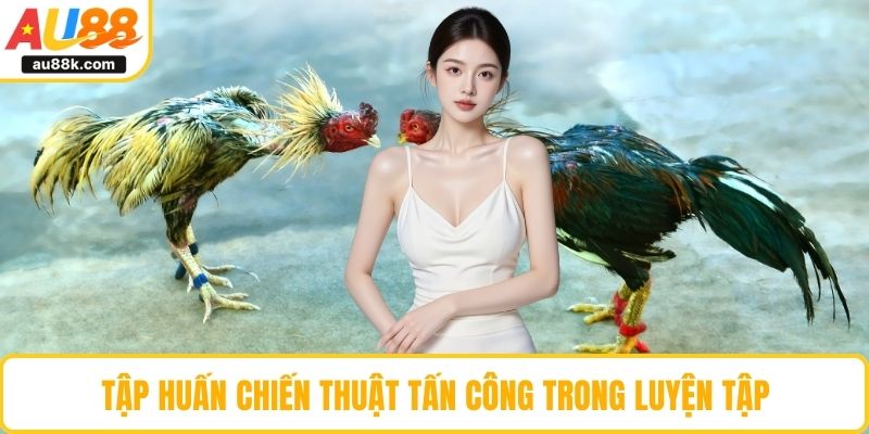 Tập huấn chiến thuật tấn công trong luyện tập