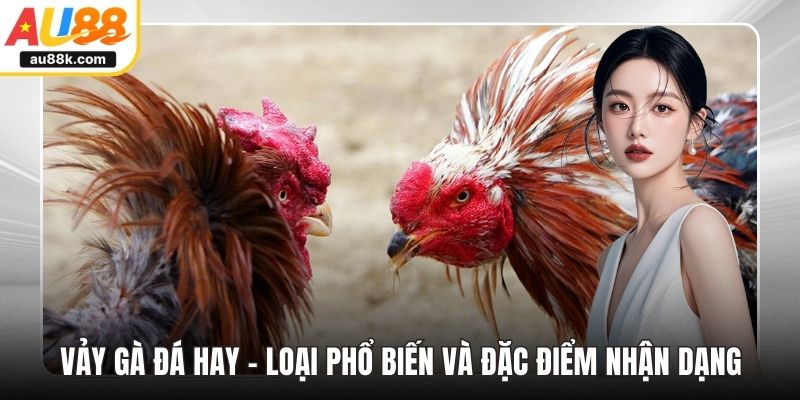 Vảy gà đá hay